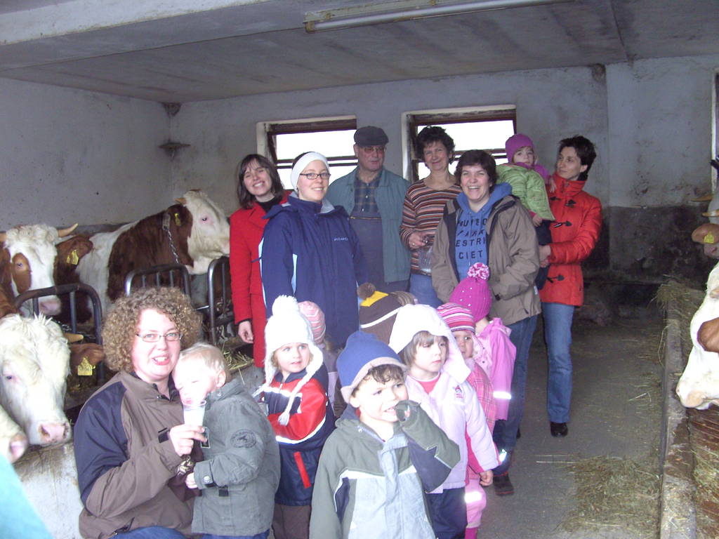 Gruppenbild mit K&uuml;hen