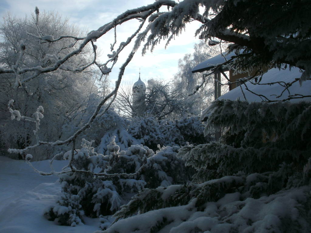 Winter 2010