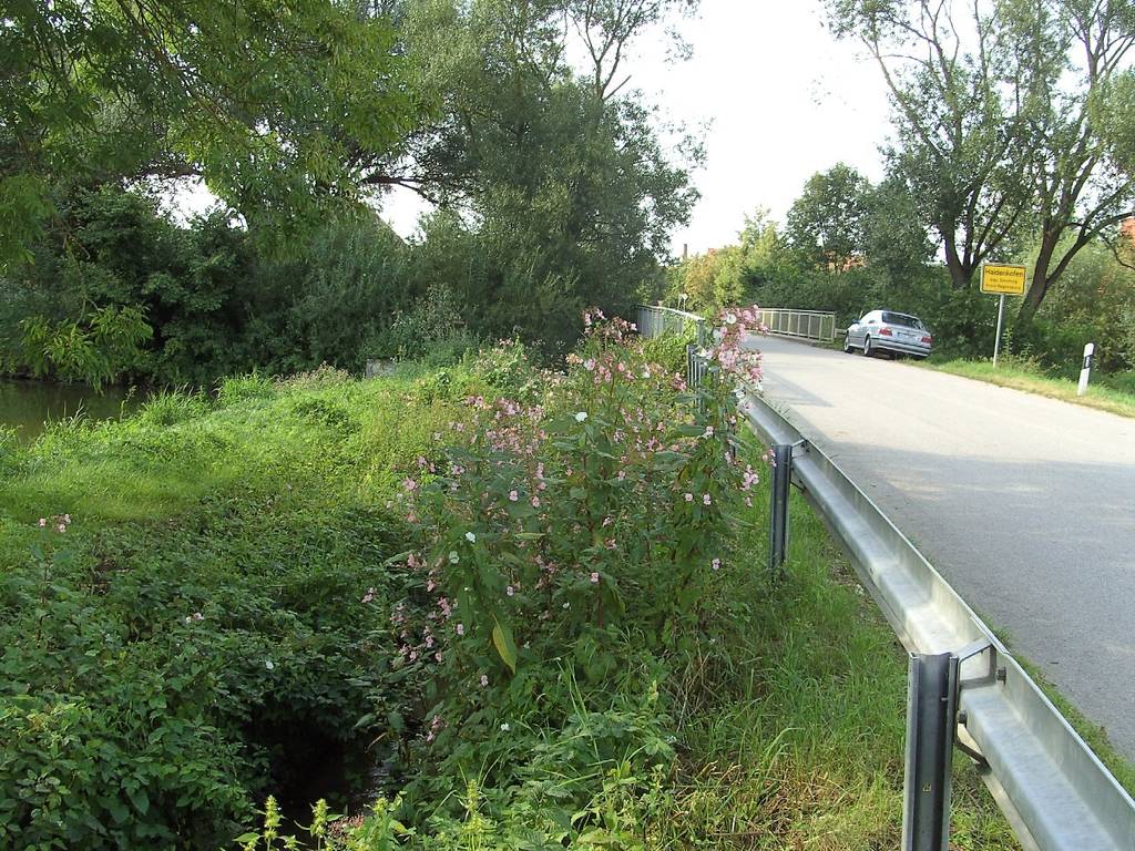 Springkrautentfernen 09