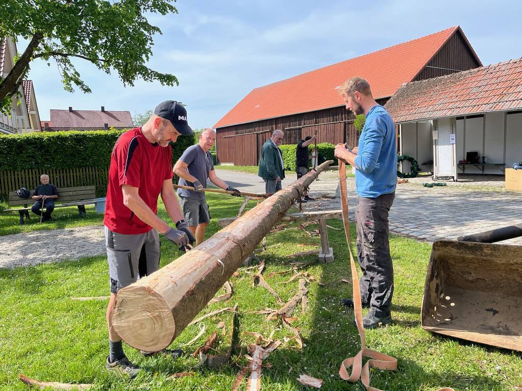 Maibaum 2024