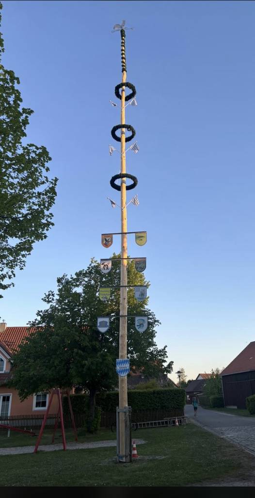 Maibaum 2026