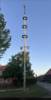 Maibaum 2026