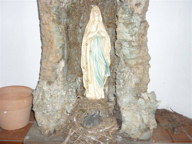 Ein besonderer Nistplatz