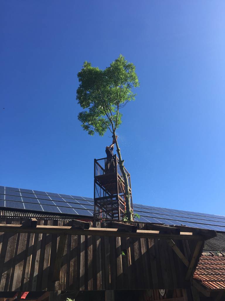 Kegelbahnrenovierung Juni 2016