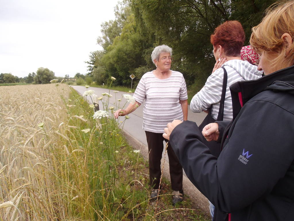 Kräuterwanderung