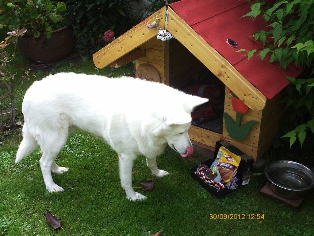 Mh, schaut das lecker aus