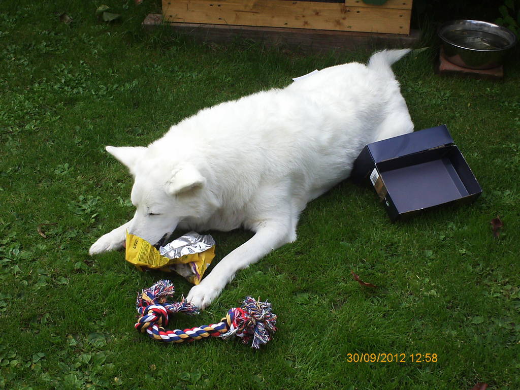 Gleich bin ich fertig